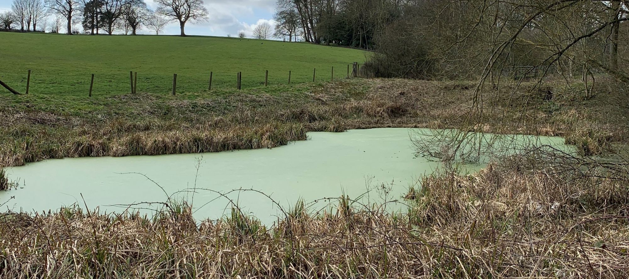 Thorpe Eutrophication Crop